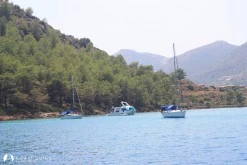 Sığ Liman photo 4