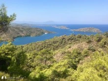 Babuş Bükü photo 7