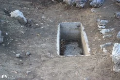 Amos(Asarcık) Koyu photo 10