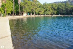 Bencik photo 8