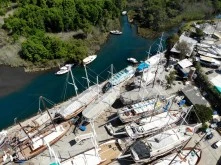 Albatros Marina photo 16