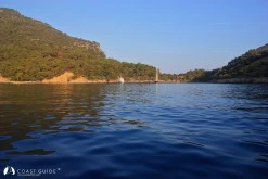 Darboğaz Koyu photo 10
