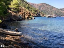 Semizce Koyları photo 11