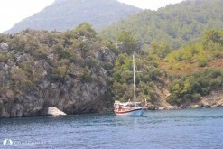 Armutlu Su Koyu photo 2