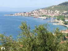 Marmara Adası Barınağı photo 8