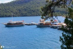 Çamlı Limanı photo 6