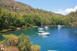 Kargılık Koyu (Atbükü-Günlüklü) photo 2