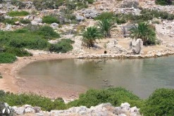 Kertibükü photo 6