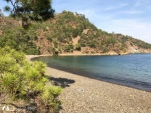 Çığlik Koyu photo 12