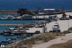 Mordoğan Limanı photo 10