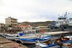Yeni Liman photo 13