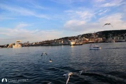 Büyükada photo 9