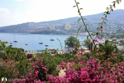 Gündoğan photo 7