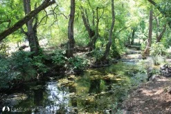 Küfre Koyu photo 8