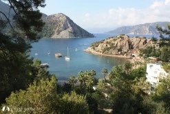Turunç photo 5