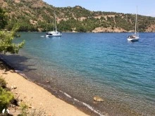 Killebükü photo 18