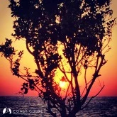 Yalıkavak Marina photo 28