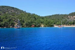 Demir Liman photo 7