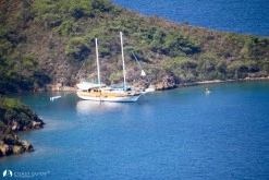 Babuş Bükü photo 11