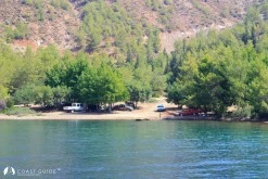 Killebükü photo 8