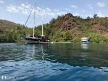 Sucağız Koyları photo 24
