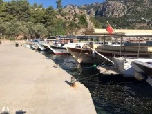 Turunç photo 27