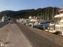 Netsel Marina photo 22