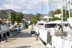 Albatros Marina photo 11