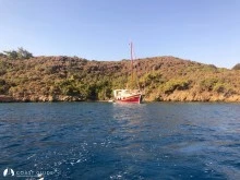 Fener Koyu photo 9