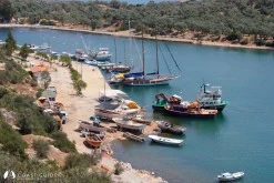 Kıyıkışlacık - Iasos photo 6