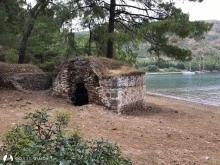 Killebükü photo 7
