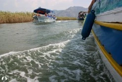 Delik Ada/ Dalyan photo 8