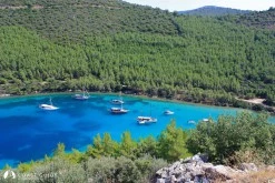 Ilıca Bükü - Çomça photo 4