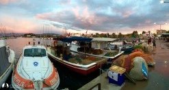 Urla Limanı photo 31