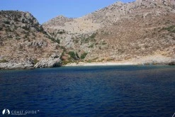 Arap Island photo 5