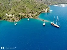 Eğri Çam (İnceburun) Koyu photo 6