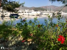 D - Marin Göcek Marina photo 19