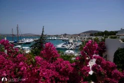 Çeşme Setur Marina - Photo 3