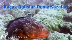 KADIRGA BURNU ÖNÜNDE DALIŞ KAZASI