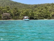 Yarım Liman photo 12