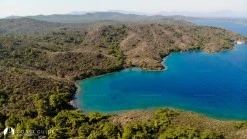 Babuş Bükü photo 3