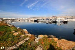 Marintürk Pendik Marina (City Port) photo 1