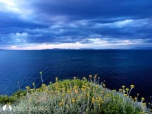 Urla Limanı photo 18