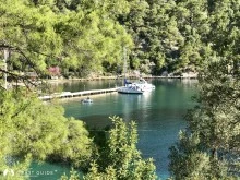 Taşkaya (Bedri Rahmi) Koyu  photo 18