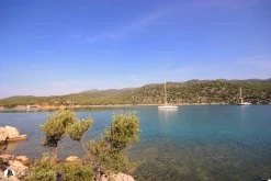Sıçak Koyu photo 3