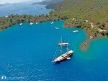 Eğri Çam (İnceburun) Koyu photo 9