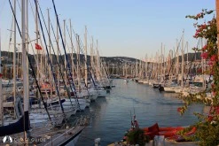 Milta Bodrum Marina photo 6