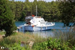 Okluk Koyu photo 15