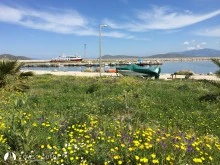 Avşa Adası Yiğitler Barınağı photo 23
