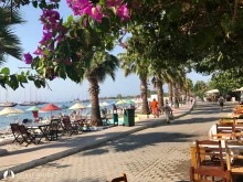 Ören photo 38